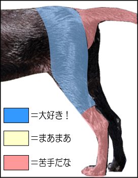 犬の尻をマッサージしたとき、大好きな場所、まあまあの場所、苦手な場所に分けて図示しました。