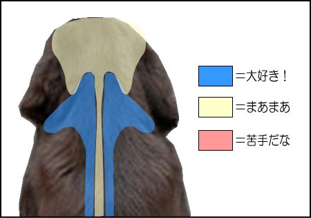 犬の首をマッサージしたとき、大好きな場所、まあまあの場所、苦手な場所に分けて図示しました。