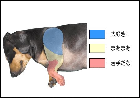 犬の肩をマッサージしたとき、大好きな場所、まあまあの場所、苦手な場所に分けて図示しました。