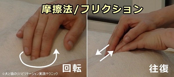 犬のマッサージテクニック~「フリクション」(friction)