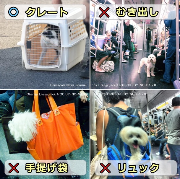 犬を電車内に連れ込む際は細かい規定がある