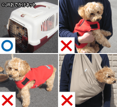 犬を電車内に連れ込む際は細かい規定がある