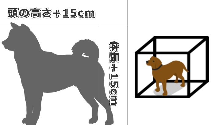 アメリカ合衆国農務省（USDA）が定める犬に必要な収容空間最低値