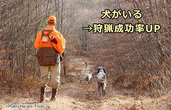 ハンターグループの人数が少ないほど狩猟成功率が上がり、犬の存在価値が高まる