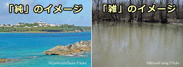 「純」という言葉が持つイメージと「雑」という言葉が持つイメージの違い