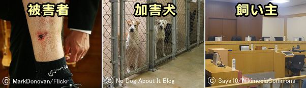 犬の咬傷事故は、飼い主、加害犬、被害者全てにとってマイナス