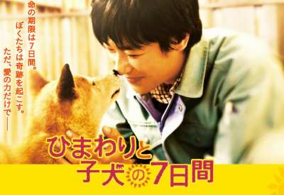 2013年3月16日(土)公開映画「ひまわりと子犬の7日間」