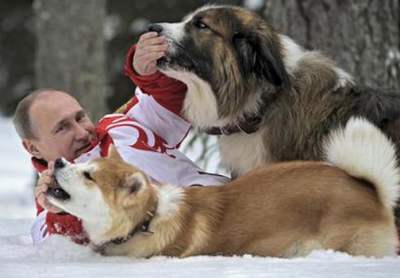 プーチン大統領とたわむれる秋田犬「ゆめ」