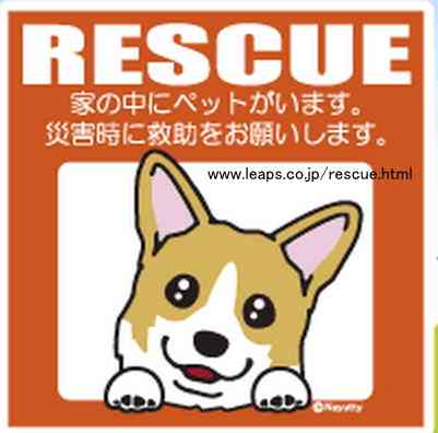 RESCUEペットステッカー