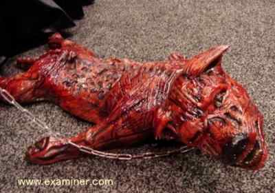 ハロウィン用に売り出された「道端でひき殺された犬」という小道具