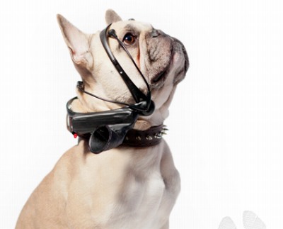 犬用の装着型機器「No More Woof」