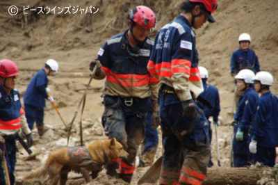 災害救助犬「夢之丞」