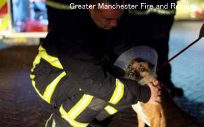 大規模な火災があった「Manchester Dogs' Home」