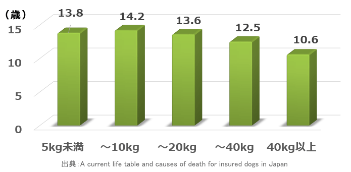 2010～11年度における犬の体重別寿命
