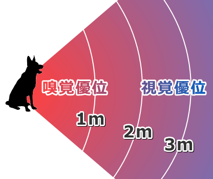 訓練していない犬が見せる視覚と嗅覚の切り替え領域