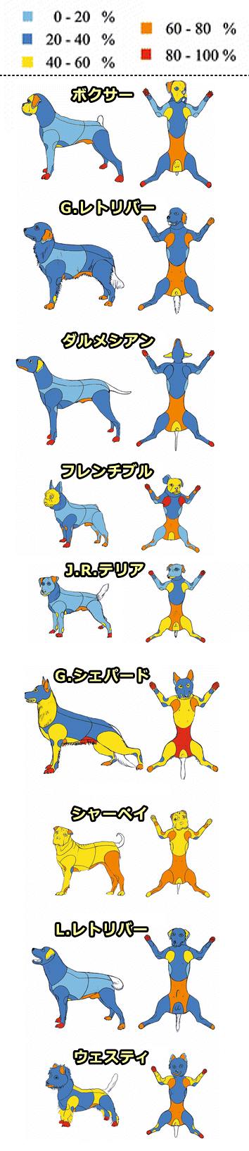 犬種別アトピー好発部位一覧図