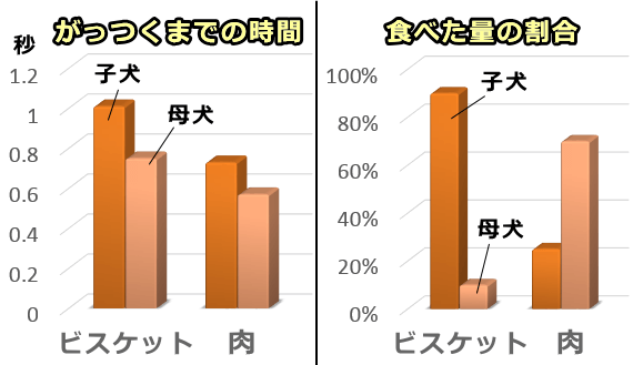 離乳期が終わった子犬に対し、母親はそれほどつよい母性を示さない