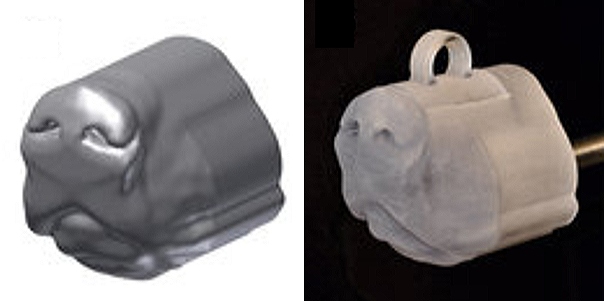 3Dプリンターで作成した犬の鼻の模型