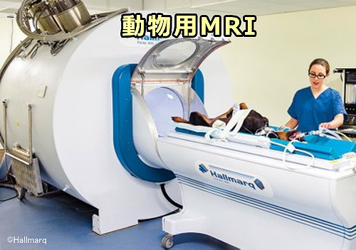 動物用MRI