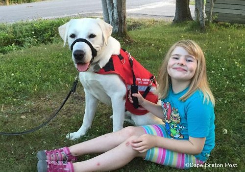 犬の存在自体が自閉症児にプラスの効果を及ぼす