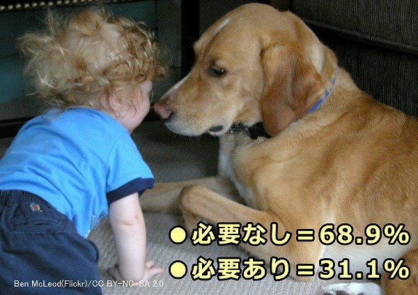 子供が休憩中の犬にハイハイしながら近づく状況は危険