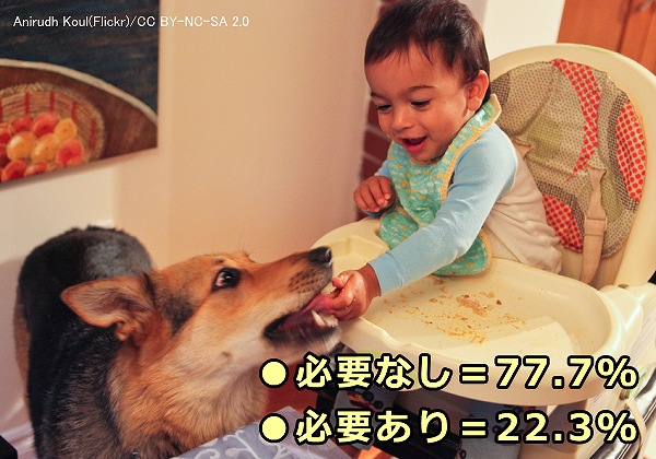 子供が犬の上から手をかざして餌を与える状況は危険