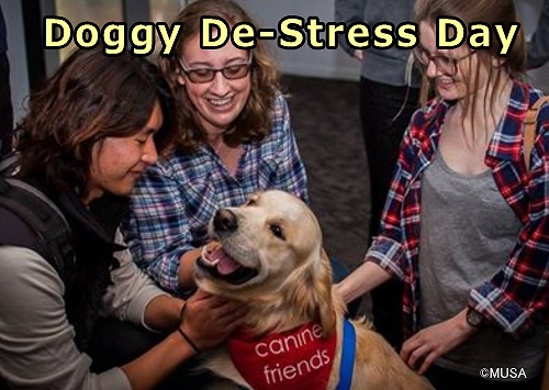大学生のドロップアウトを減らすため、キャンパス内で「Doggy De-Stress Day」が開かれることもある