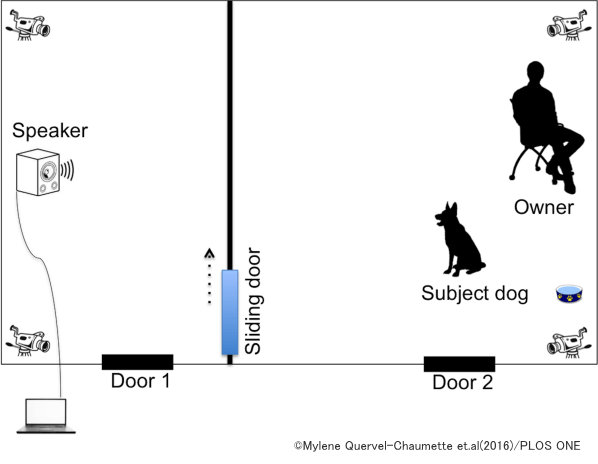 統一された実験環境内で、様々な種類の「クンクン鳴き」を犬に聴かせる