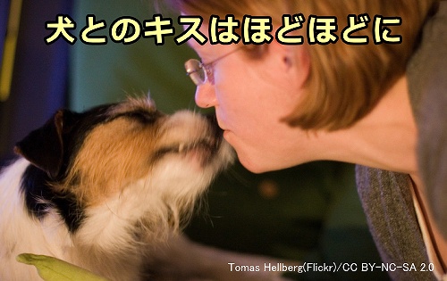 犬とのキスは人獣共通感染症のリスクがある