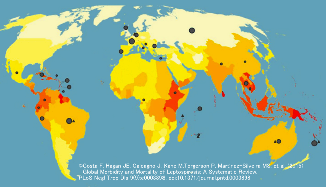 世界におけるレプトスピラ症の好発地域一覧図