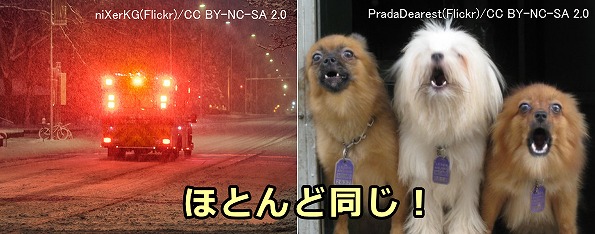 犬の鳴き声と自動車のサイレンの不快度はほとんど同じ