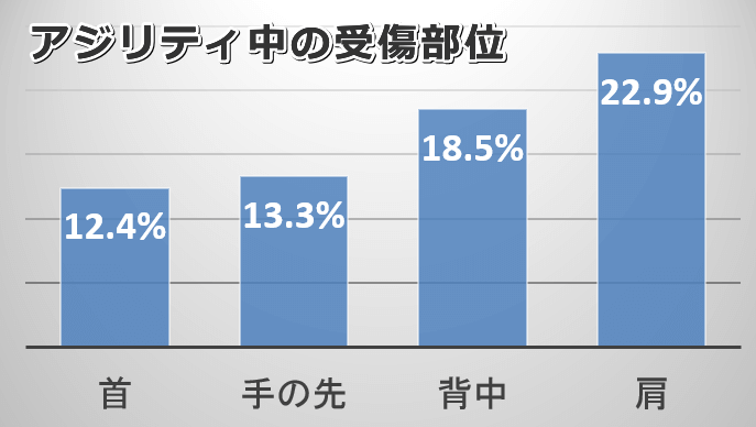 アジリティ競技犬に多い受傷部位