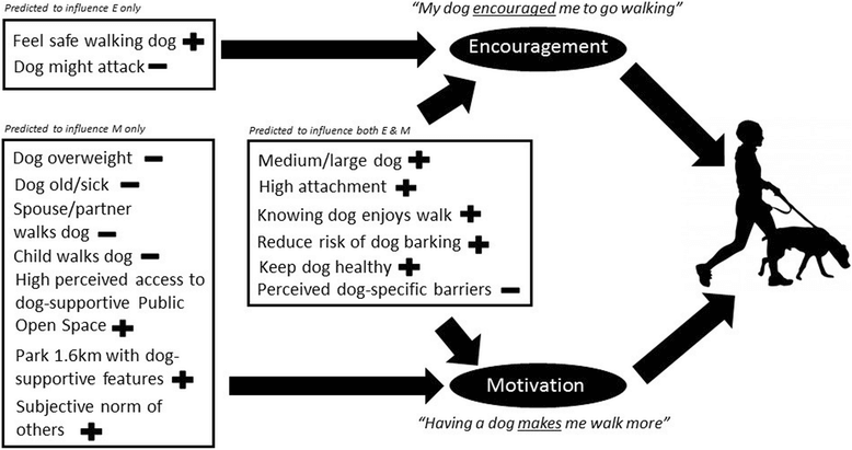 「後押し」（Encouragement）と「動機づけ」（Motivation）が犬と人の散歩頻度を高める