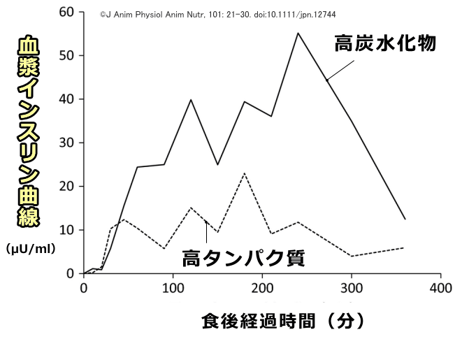 高タンパク食と高炭水化物食における犬の食後インスリン反応