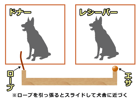 他の犬にだけ報酬が与えられるようにデザインされた設備