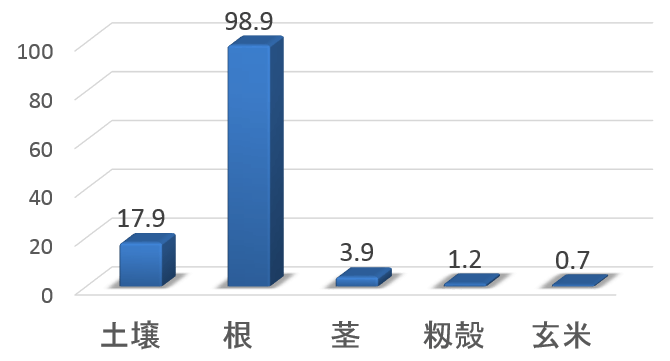 稲の各部位におけるヒ素の含有濃度一覧表