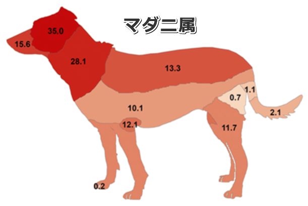 犬の体におけるマダニ属の生息分布図