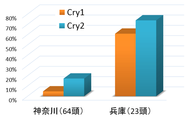 神奈川と兵庫における犬のスギ花粉（Cry j 1および2）血清抗体陽性率