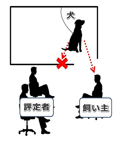 トリーアの社会ストレステスト・模式図