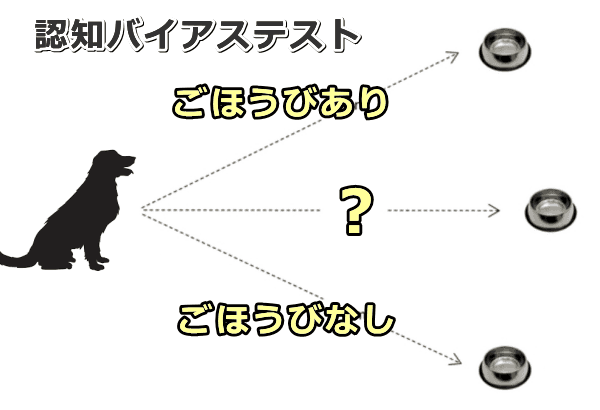 平素における犬の心的状態を評価する「認知バイアステスト」のセッティング