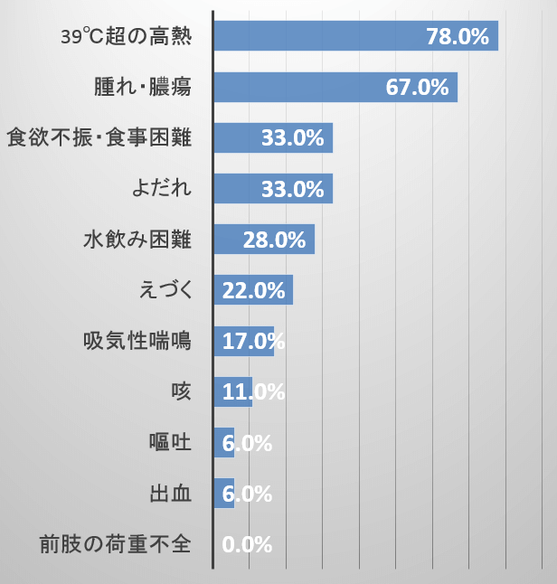 犬のスティック外傷における慢性期症状は発熱や腫脹