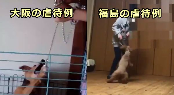 犬に対する虐待行為の一種「ヘリコプタリング」