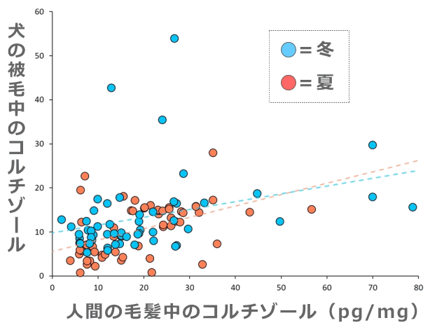 犬と飼い主のストレスレベルは長期的に連動している