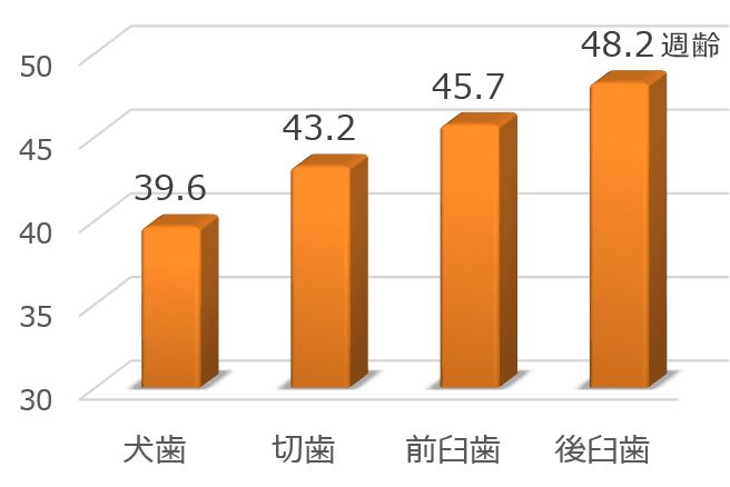 歯の種類ごとに見た歯周病発症のタイミング