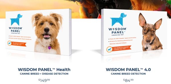 「Wisdom Health」が提供する犬向け遺伝子検査キット「WisdomPanel」