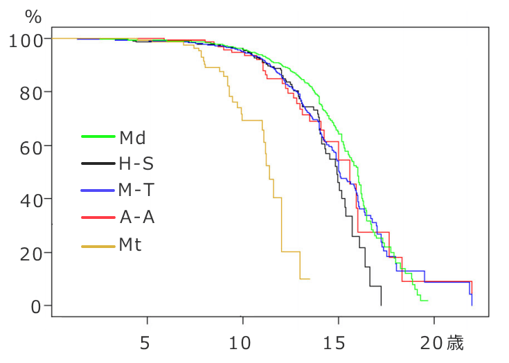 系統発生群と犬の生存率曲線