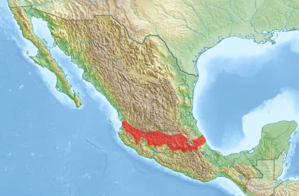 トランスメキシコ火山帯の地理的な位置