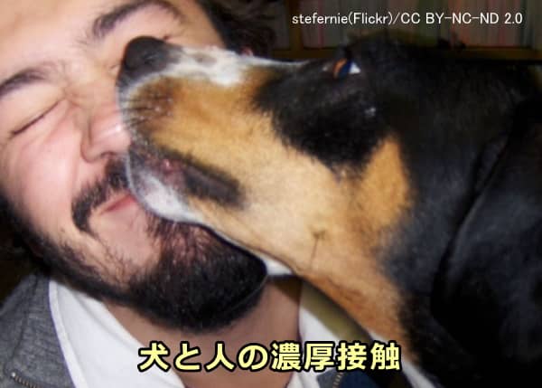 飼い主と飼い犬はスキンシップを通じて濃厚接触する機会が多い