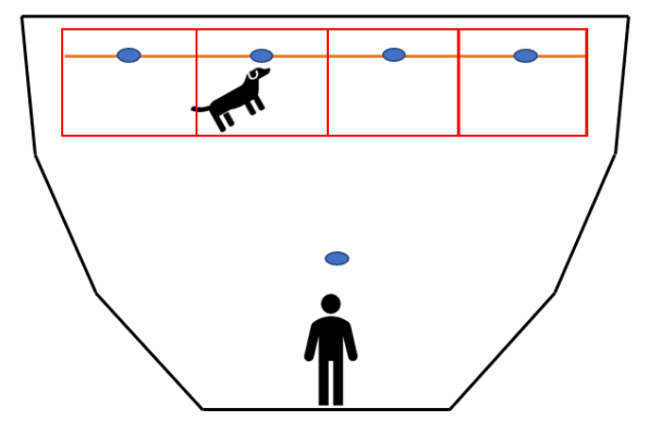 4種類の匂いを提示し、犬が自発的にどれを選ぶかを調べる