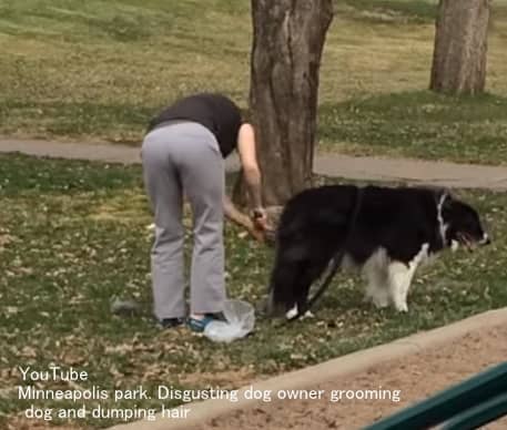 屋外で犬のブラッシングをして抜け毛を放置するマナー違反の飼い主